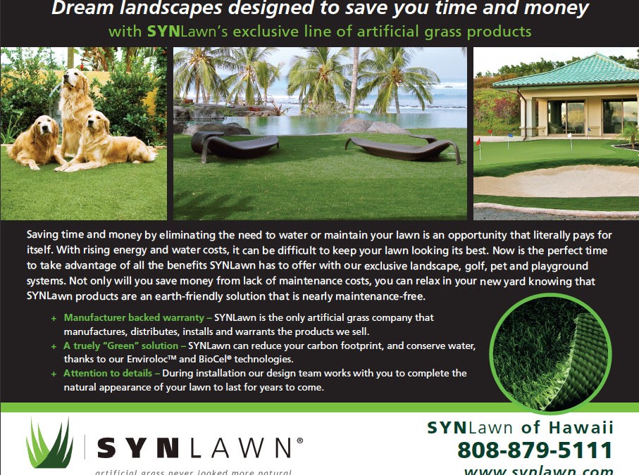 Hawaiian Half-page ad